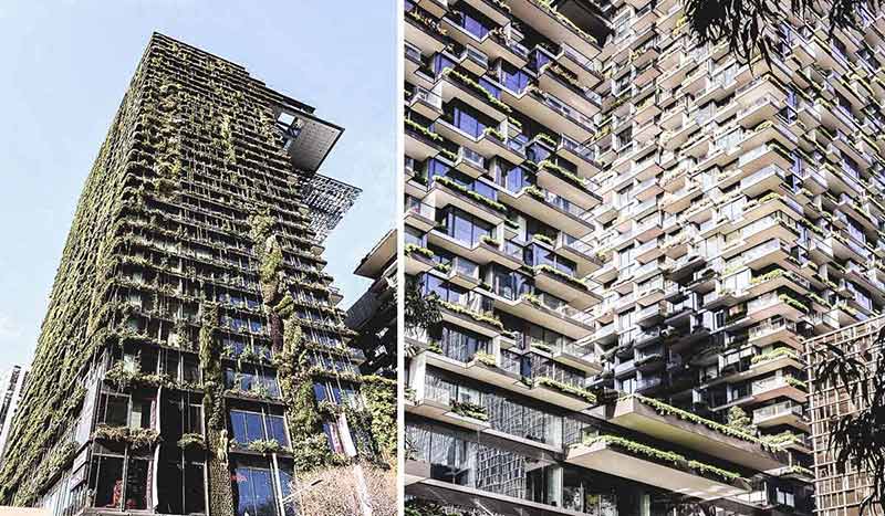 Pictures of the vertical gardens surrounding the One Central Park Building in Sydney.