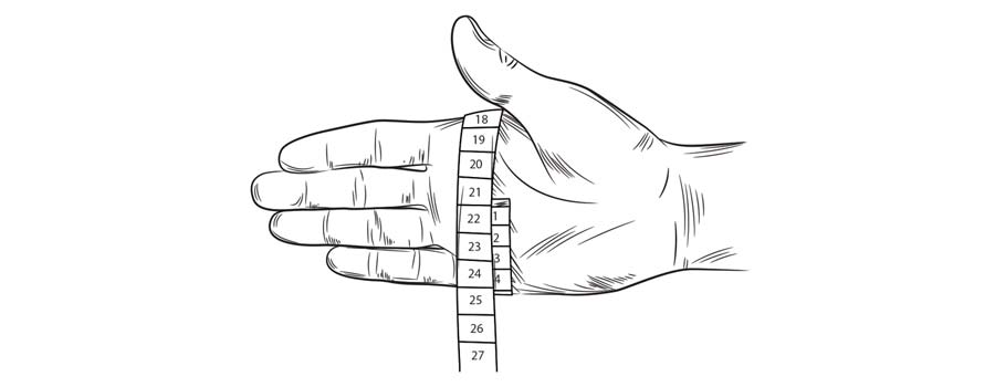 Handschuhgröße Illustration