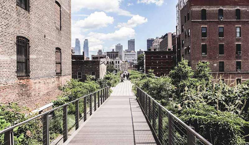 The High Line promenade in New York City surrounded by modern and older buildings.